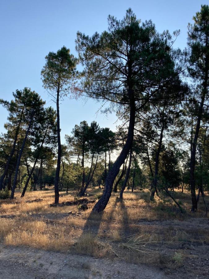 Apartamento Turistico Cerca Aranda De Duero La Ren Lecres Vadocondes エクステリア 写真